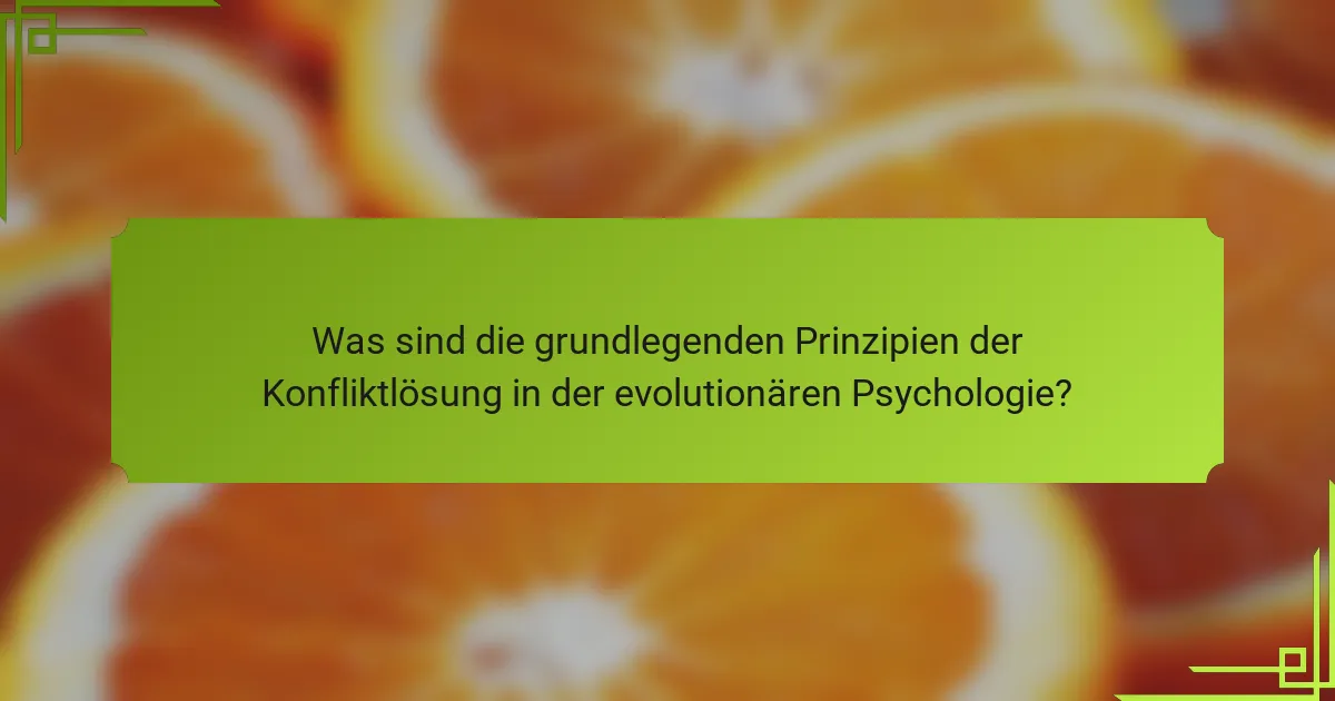 Was sind die grundlegenden Prinzipien der Konfliktlösung in der evolutionären Psychologie?