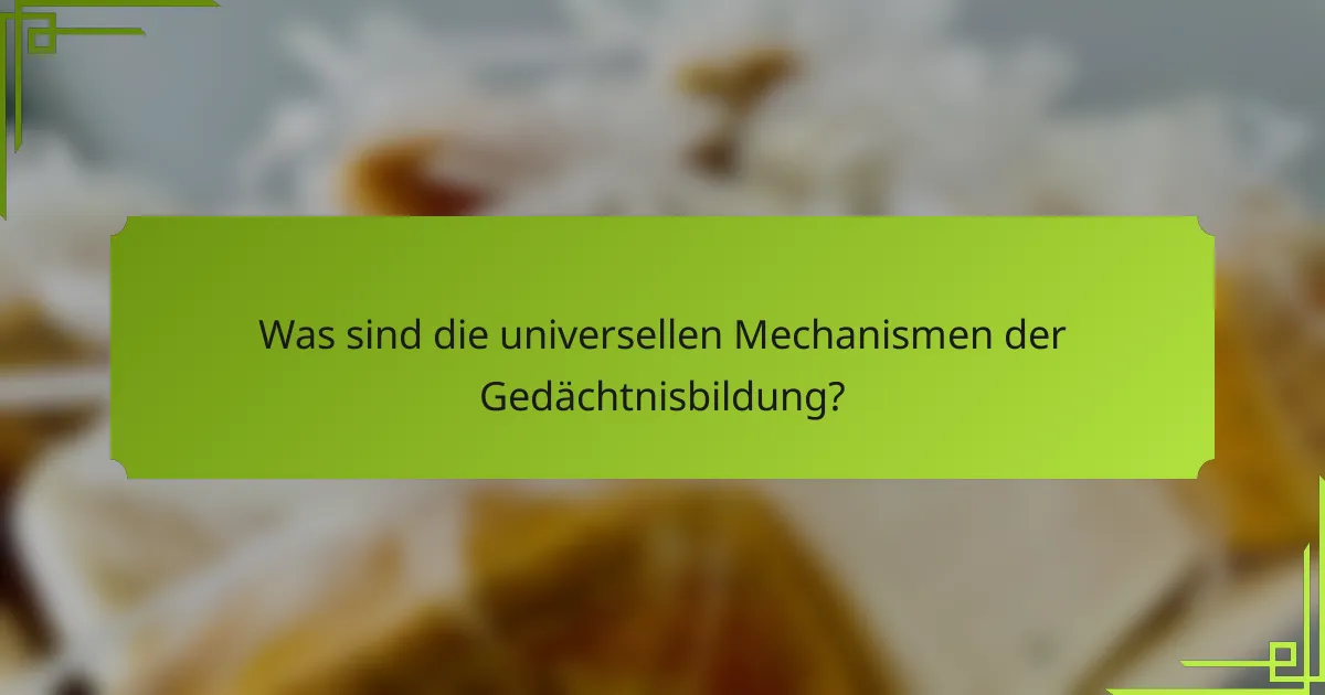 Was sind die universellen Mechanismen der Gedächtnisbildung?