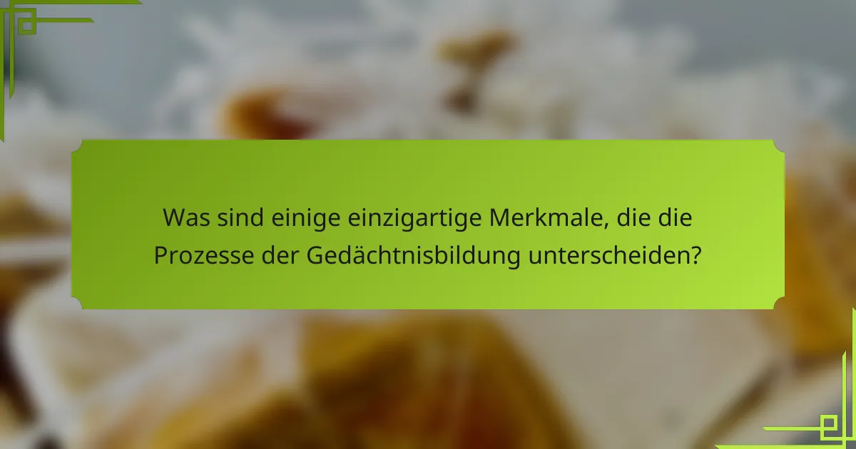 Was sind einige einzigartige Merkmale, die die Prozesse der Gedächtnisbildung unterscheiden?